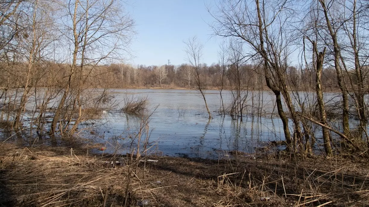 Уровень воды в реке Иртыш в Тобольске прибавил полметра