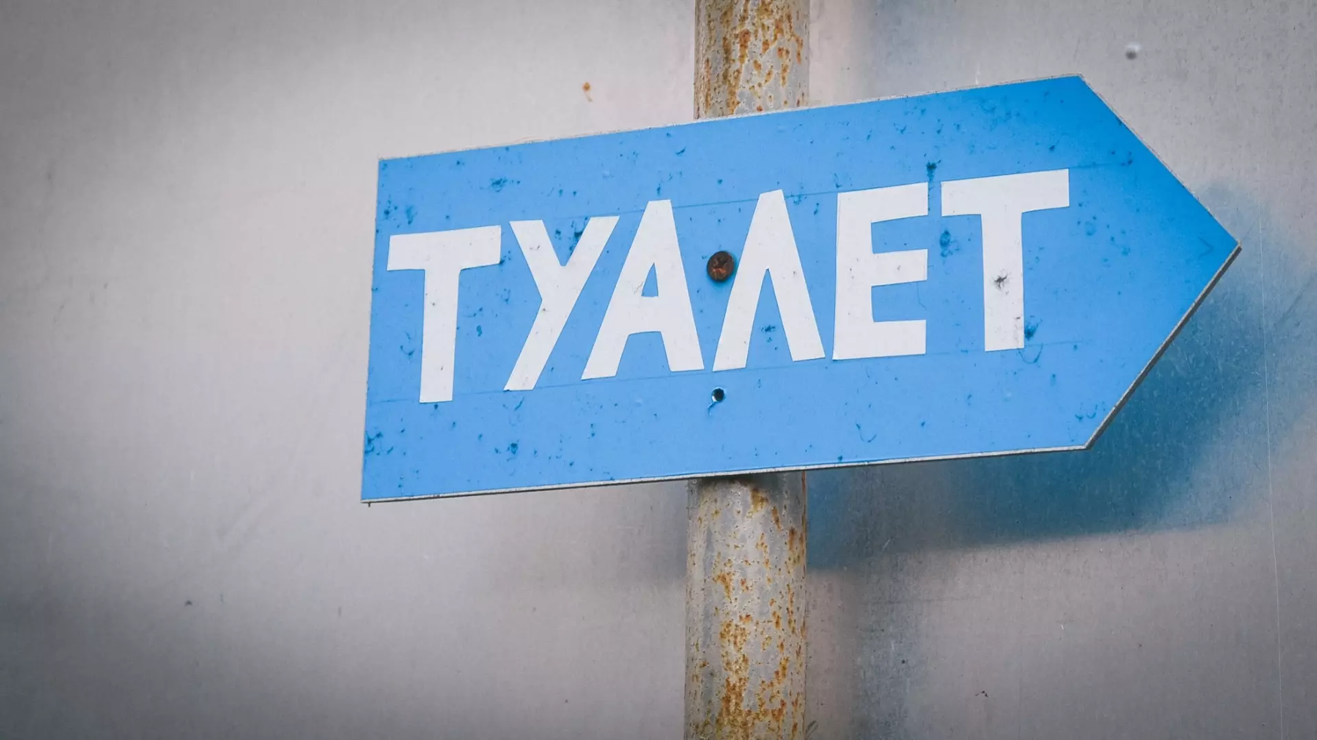 В Тюменской области потратят на общественные туалеты более 10 миллионов рублей