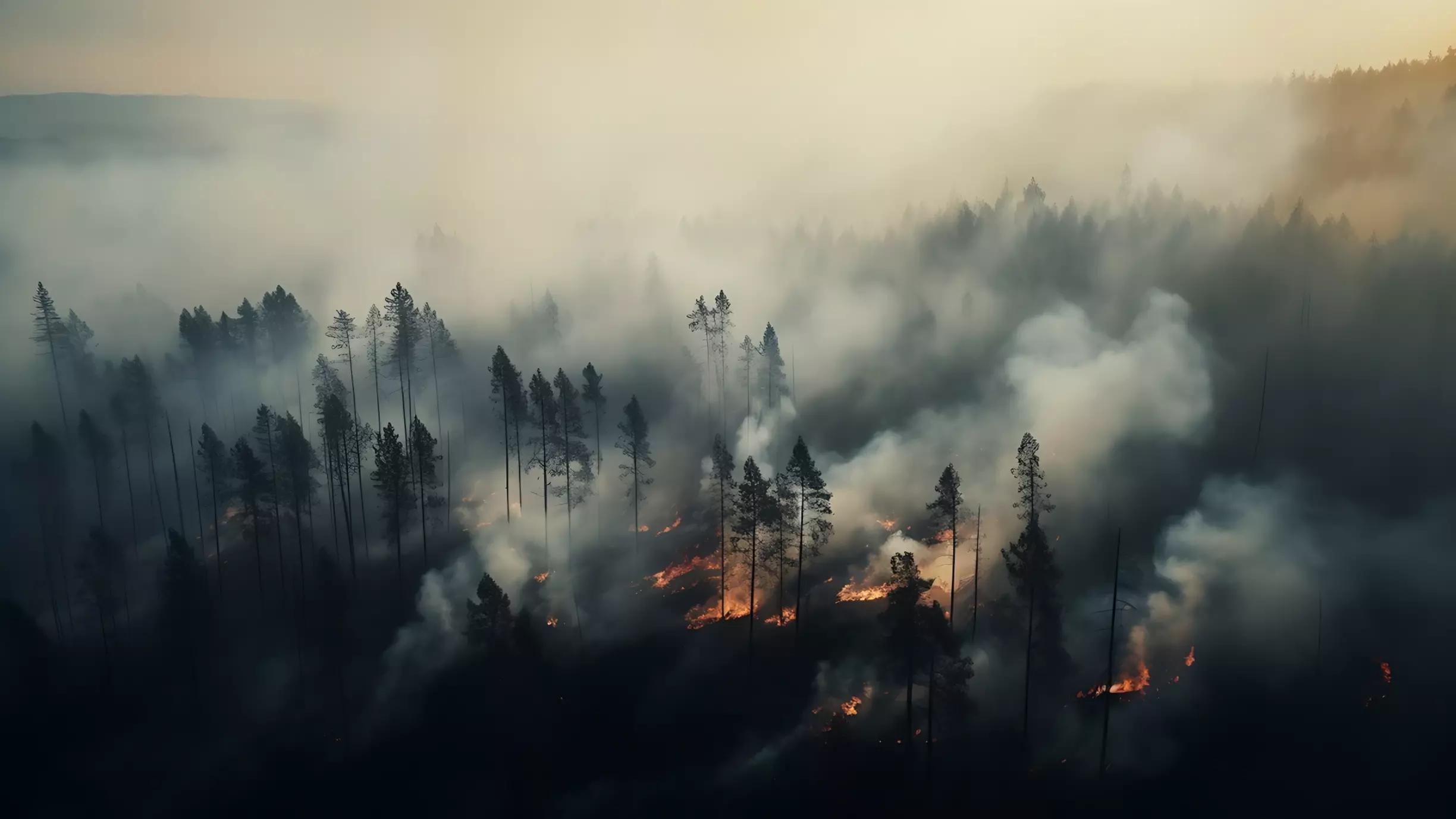 Пожароопасный сезон в лесах начнет действовать в Тюменской области с 5 апреля