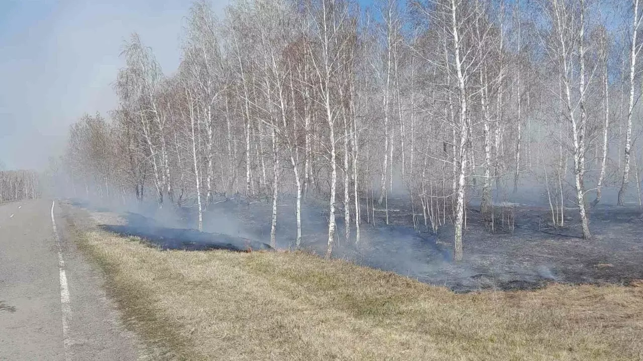 В Тюменской области загорелась сухая трава в районе Бердюжья