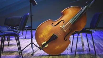 В 10 тюменских ДШИ обновили музыкальные инструменты