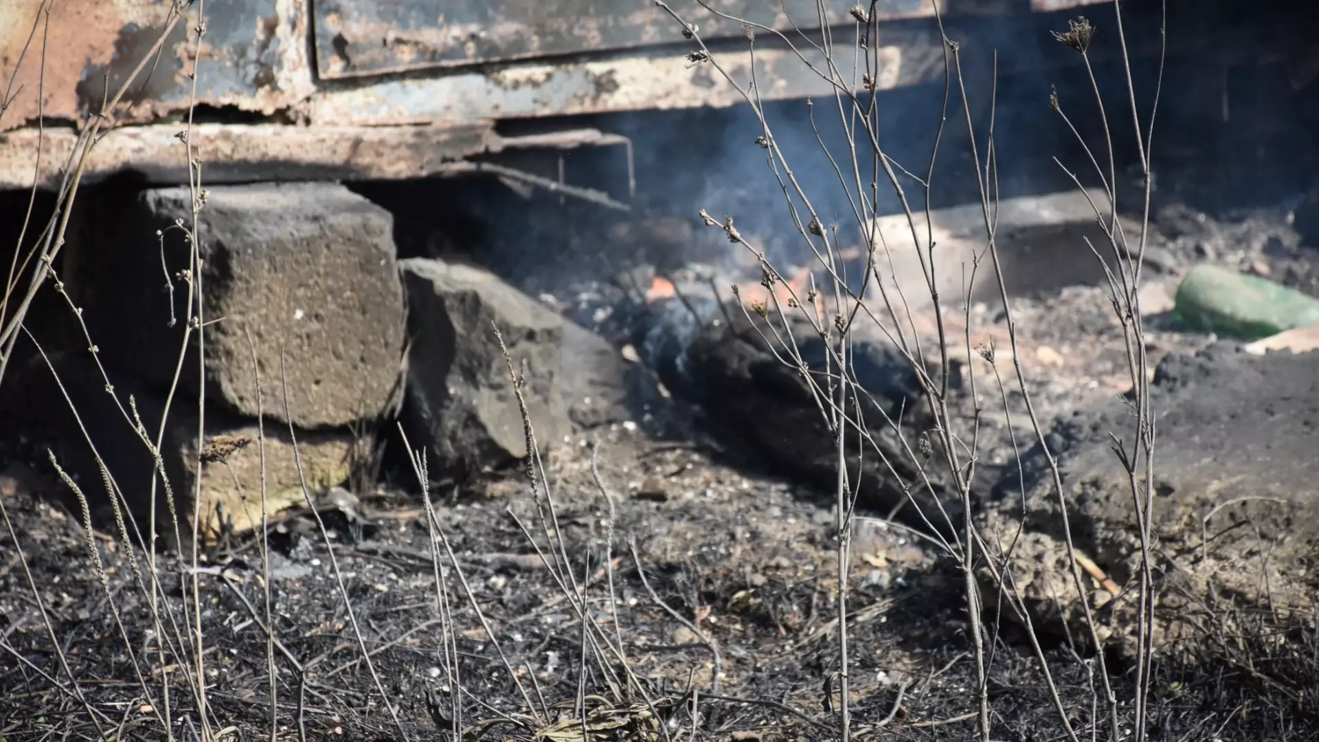 В Тюмени задержали виновника крупного ландшафтного пожара в СНТ «Салют»